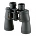 Binocular